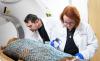 CT scans of mummies reveal amazing details about life in ancient Egypt