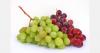 Moldova starts table grape exports strongly in January