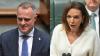 Anne Aly, Tim Wilson face off in Parliament over “dodgy” small business comment