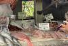 Brazil’s Rio de Janeiro bans shark meat in most state schools