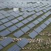 Solar, wind capacity growth slowed last year: Analysis