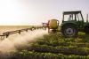 EPA Reapproves Weedkiller Dicamba Despite Concerns About Drift and Crop Damage