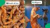 "So inhumane": Pictures of South African vs Nigeria traditional food goes viral