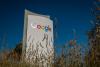 Alphabet plans tech’s first 100-year bond