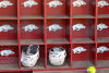 Arkansas falls to No. 11 in latest ESPN/USA Softball poll