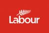 Retail Crime Advisory Group Collapse Shows Govt’s Waste And Dysfunction – Labour Party