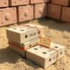Scientists Create Sustainable Bricks from Desert Sand as a Green Alternative to Carbon-Heavy Portland Cement