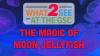 What 2 See at the GSC: Behind the Scenes with the Greensboro Science Center’s Jellyfish whisperer