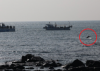 Jeju's yacht tourism push sparks concerns for dolphin habitat