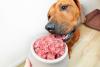FSA issues warning on safe handling of contaminated raw pet food