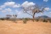 Kenyans face hunger and higher food costs amid persistent drought