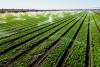Pentagon, USDA Announce Collaboration to Bolster Agricultural Security