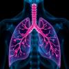 Scientists Emphasize Urgent Need to Deepen Understanding of Lung Cancer in Never-Smokers