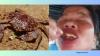 Food influencer eats ‘devil crabs’ in Philippines mangroves, dies a day later