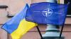 Ukraine updates: NATO ministers to discuss support for Kyiv