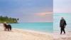 Lakshadweep Travel Guide: New Flight, Permits, Best Time And Places To Visit
