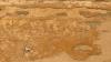 Tamil Graffiti In Egyptian Tomb: How Ancient Indian Merchants Became Tourists In Land Of Pharaohs