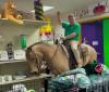 Scott Business Owner Takes Stroll Through Store While on Horse