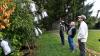 Genetic analysis could speed up restoration of iconic American chestnut: Scientists