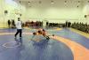 Azerbaijan Army holds Judo, Greco-Roman and freestyle wrestling championships