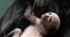 'Completely white' endangered monkeys born at zoo