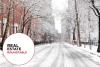 From Snowbanks to Showings: The Reality of Winter Real Estate in NYC