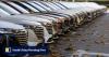 Beijing warns carmakers: stop killing your profitability hopes by selling below cost