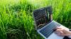 Maharashtra govt to hold Artificial Intelligence in Agriculture and Investment Summit on Feb 22