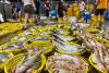 Singaporean, Malaysian consumers left with few sustainable seafood options due to price, limited supply: survey