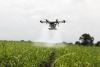 CSIRO supports AI projects for future-ready agriculture under Quad initiative