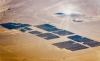 By Covering a Desert with Solar Panels, China Expected Clean Power, but the Land Began to Evolve