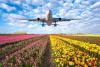 Perishables Flower demand boost UIO and BOG air cargo charter flights The Valentine’s Day flower peak season has seen the number of air cargo charter flights out of Colombia and Ecuador rise rapidly over the last few weeks. 13 February 2026