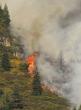 Nevada, Placer and El Dorado counties join regional partnership to advance wildfire resilience