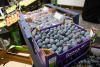 Swiss market new destination for Moldova’s quality fruits: Moldovan plums, apricots and cherries successfully tested in Swiss retail