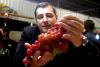 Chilean table grape supply to U.S. expected to drop