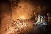 Wildfires cost Brazil $35.9bn in 2024