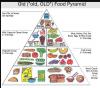 The great flip: Decoding America’s new food pyramid and its enduring fat dilemma