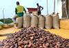 Here are 10 key reforms to revive Ghana's cocoa industry