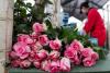 Colombian Roses Power Valentine Exports and a Quiet Women’s Workforce