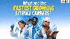 What Are the Fastest Growing Science Careers?