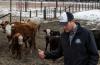 US cattle farmers caught between high costs and weary consumers
