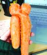 ‘Cuddling carrots’ steal hearts at food waste hub