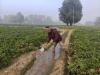 Agriculture key to net-zero path, needs crop and diet shifts: NITI