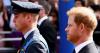 Prince Harry and Prince William’s furious row about ‘getting Africa’