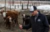 U.S. cattle farmers caught between high costs and weary consumers