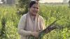 Reaping gold from ‘black carrots’: Abohar woman takes Punjab’s ‘kaali gaajar kaanji’ to US, Canada, Ireland