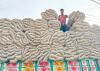 Bangladesh Jute Export Ban Pushes Nepali Industries into Crisis