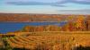 The 5 Best Finger Lakes Wineries To Visit For An Indulgent New York Escape, According To Wine Enthusiasts