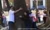 Mayor Amante Purisima joins tree-hugging activity to boost environmental awareness