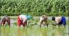 Agri Infra Fund Target doubled to Rs 2 Lakh Crore
